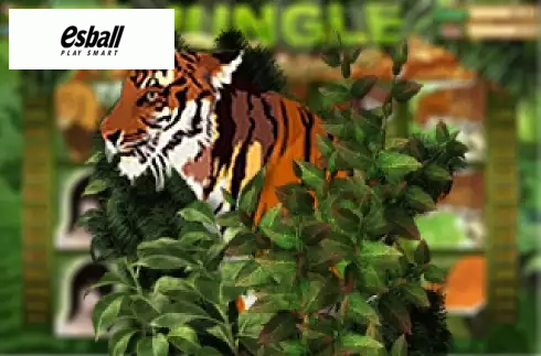 Jungle